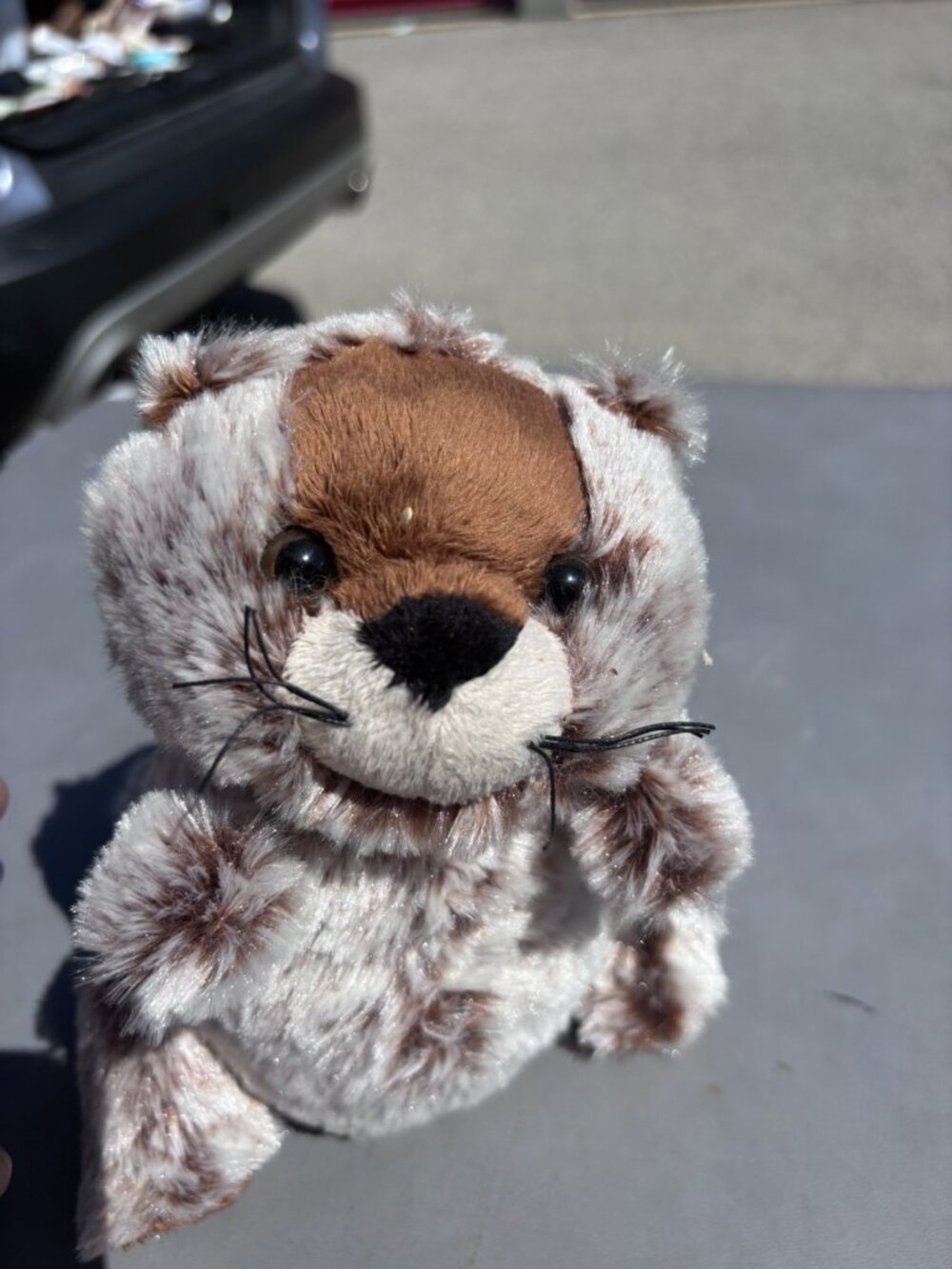 Webkinz Groundhog Plush With Code Tags Sealed New Unused Brown